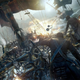 Pirates fight at sea over cotton fiber and metal ore.
